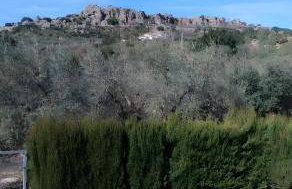 Cortijo Salva - Foto 33