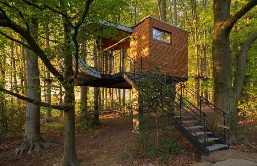 Loop - K1 Treehouses - Foto 15