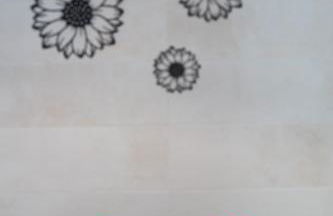 Estudio Sulayr El Río - Foto 24