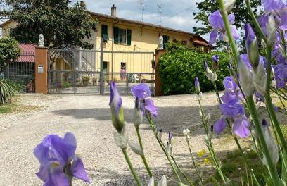 New apartment immersed in nature with pool - Foto 15