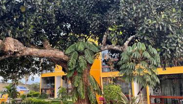 flat 013 - Serra Negra - Bezerros - PE - Foto 4