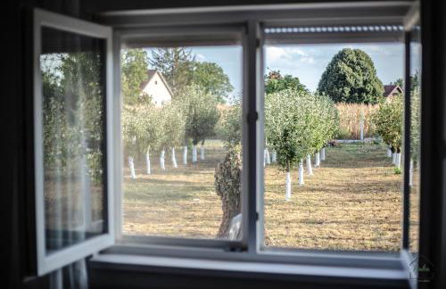 Kuća za odmor Fjaka - Foto 7