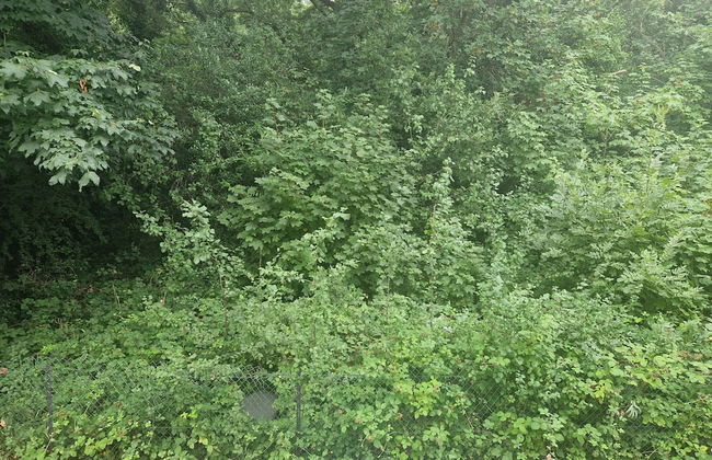 Immaculate 1-bed Apartment in Woodford Green - Foto 11