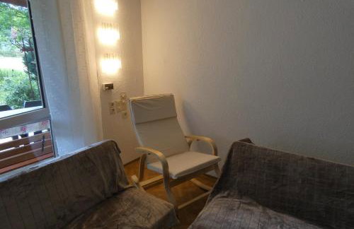 Weisses Huhn von Moschendorf - Photo 27