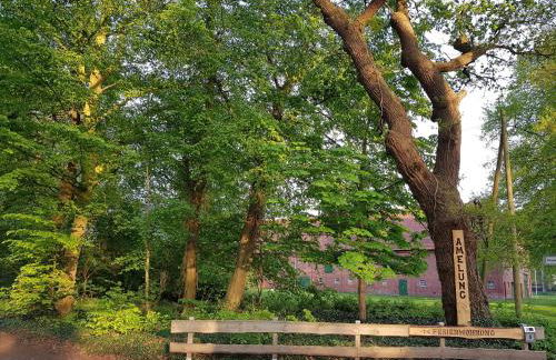 Ferienhaus Hof Amelung - Foto 24