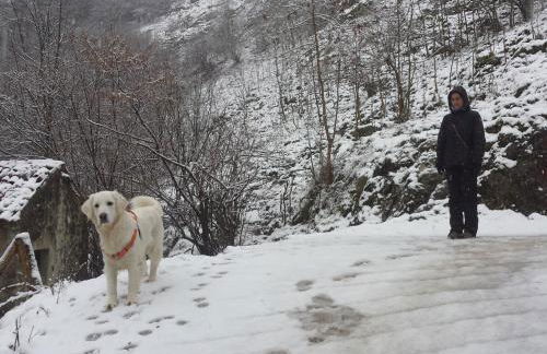 Casa de Aldea El Sol - Foto 28