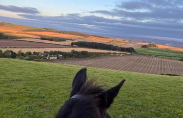 Stewards Granary - Foto 23