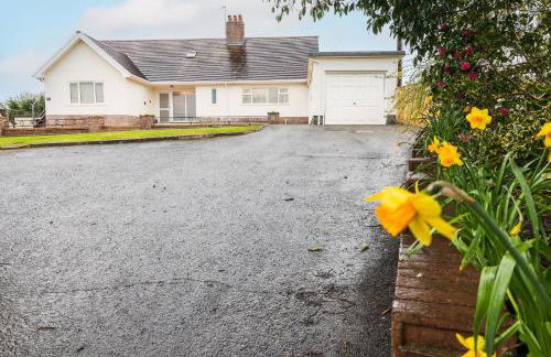 Pared Isaf - Foto 64