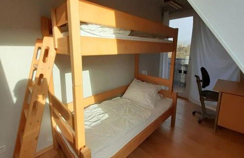 Spacious Holiday Home in Neukirchen - Foto 38