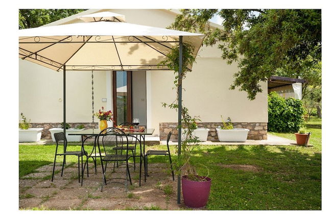 Artemisia negli ulivi B&B - Photo 29