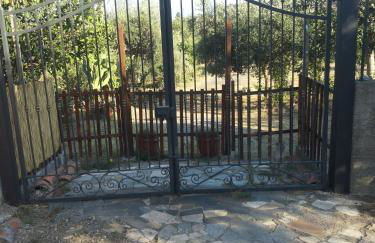 Il Melicucco - Foto 4