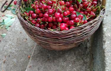 Njofra Banj - Foto 16