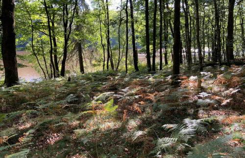 Cottage entier 4 ou 6 personnes gîte 19 - Foto 9