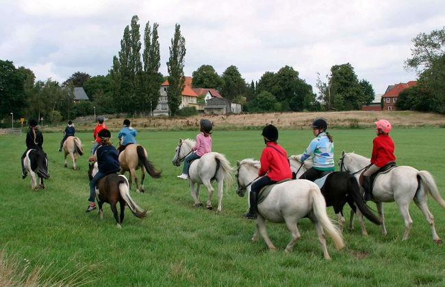 Holiday Home in Grömmitz - Foto 11