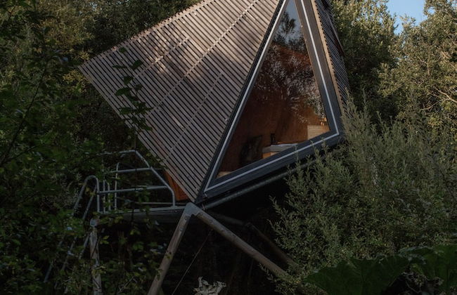 K3 Kudhva Treehouse Cabin in Tintagel - Foto 23