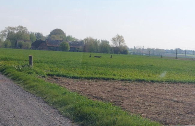 Country House in Poperinge Near WWI Sites - Photo 40