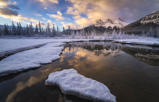 One Studio with BBQ & a Huge Patio - Photo 29