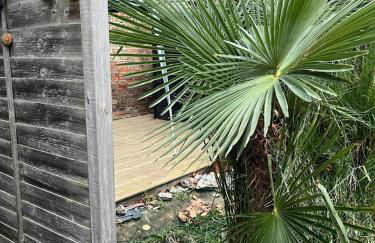 Studio Annex - Foto 56