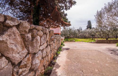 Apartments Cvita Ugljan - Foto 8