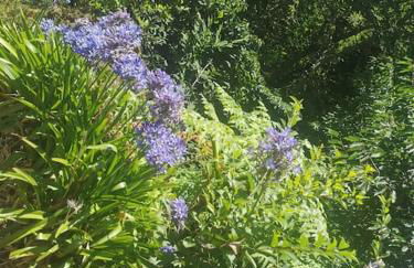 Villa panoramique 180m2 Vue Montagne 13 min Capitale Funchal - BBQ - Foto 8