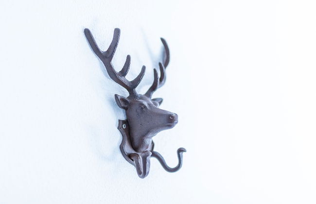 Pension Bottwartal - Foto 77