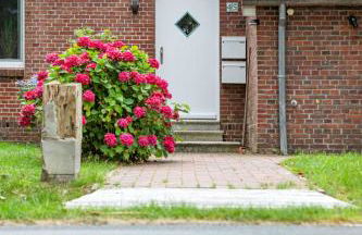 Landzeit Esens - Photo 24