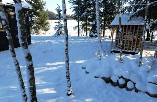 Activfarm domki na Kaszubach /domek Madzia - Foto 20