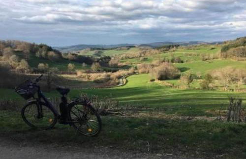 Maison Ferdinand - Foto 38