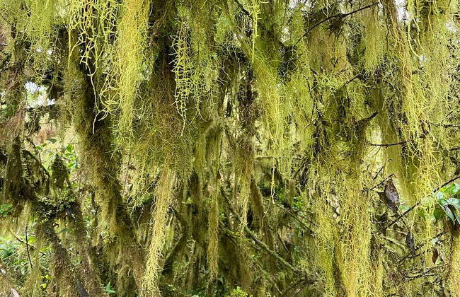 Tour of the Santa Cruz Highlands - Photo 5