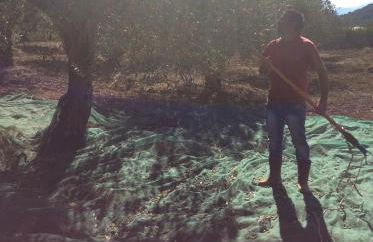 Tenuta Don Ballore Country Resort - Foto 86