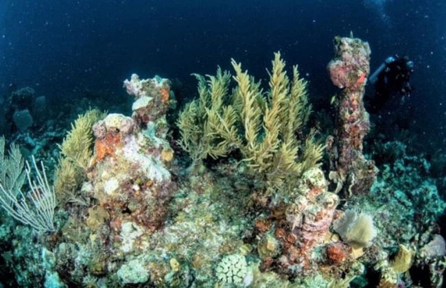 Casa del Rai - Foto 39