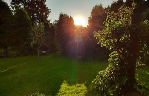 Waldgästehaus Externsteine - Photo 4