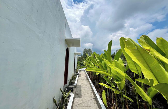 Batur Sunsun Kintamani - Foto 27