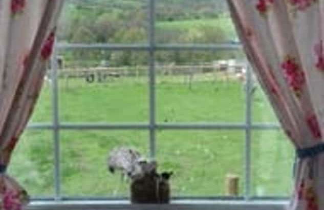 Ruby Shepherds hut Sleeps 4 - Photo 4