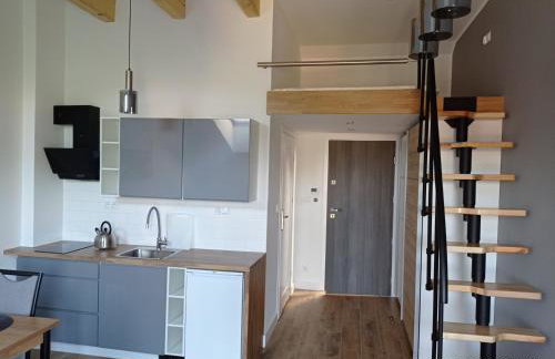 Apartamenty Kasztanowa Zator - Foto 24