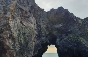 Gites de lardanva - Foto 40