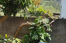 Peaceful place in São Vicente - Foto 47