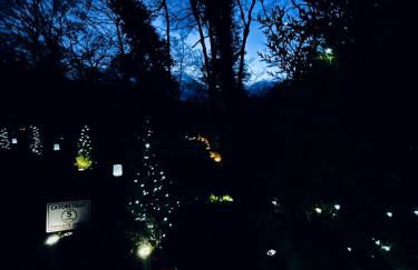 CAYORETREAT STATIC CARAVAN - Photo 19