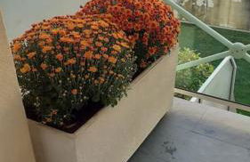 Appt centre ville "Parc Olympe de Gouges" avec garage - Foto 10