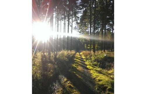 Lovely Apartment in Extertal - Foto 59