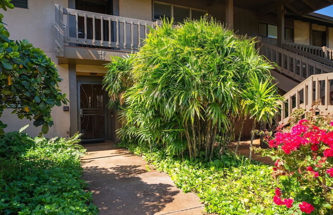 Kaanapali Plantation by Coldwell Banker Island Vacations - Foto 63