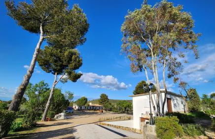 Agroturismo Viña Inés Toledo - Photo 51