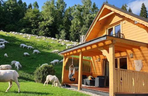 Domek pod Groniem - Photo 10