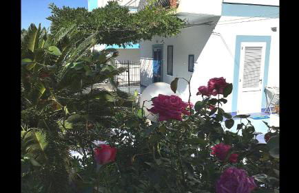 Casa Acqua Marina Ponza - Foto 23