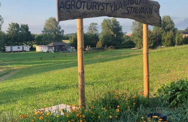 Agroturystyka nad stawami - Foto 19