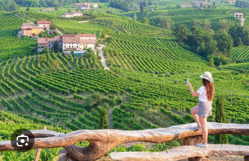 Country House la Quercia - Foto 45