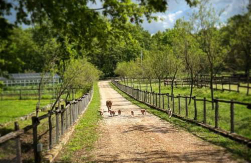 La Noce di Creta - Foto 32