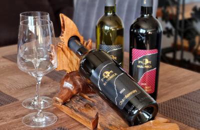 Kuća za odmor Baron - Foto 39