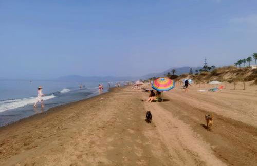 Elviria beach apartment in Marbella - Photo 21