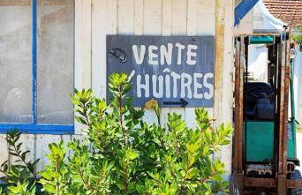 Villa Aitama - Foto 70